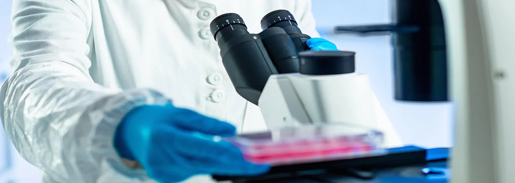 Biología Molecular: asignaturas