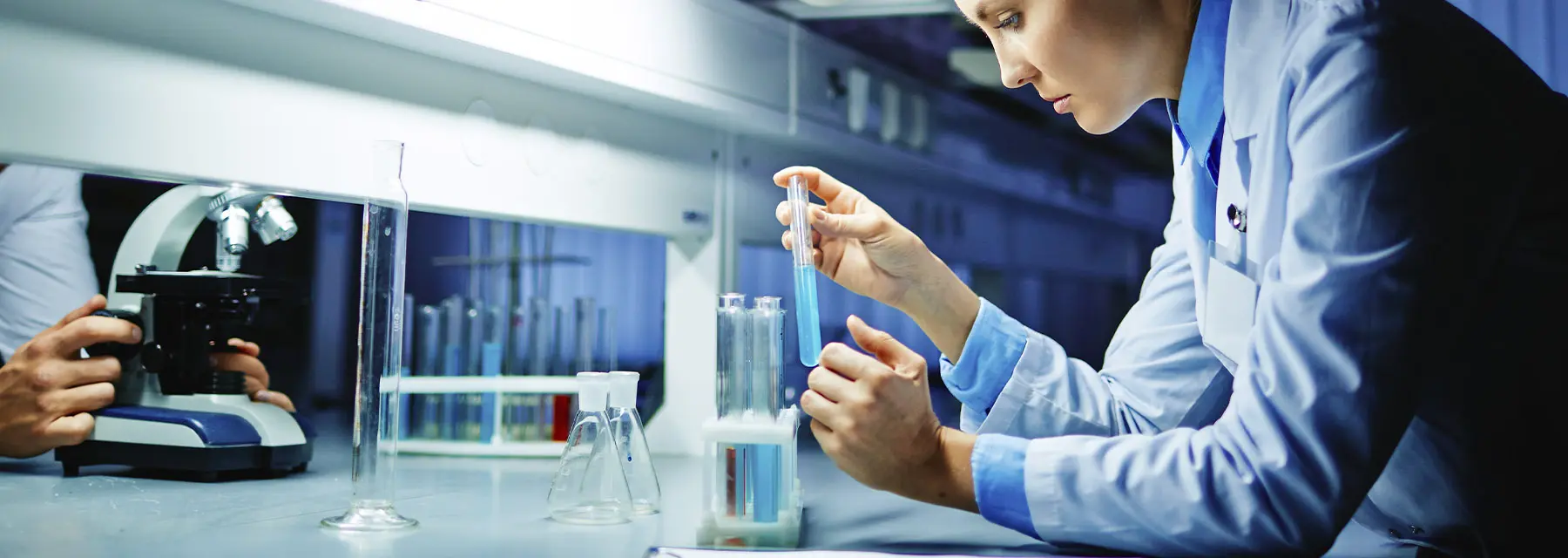 ¿Qué diferencia hay entre anatomía y fisiología?
