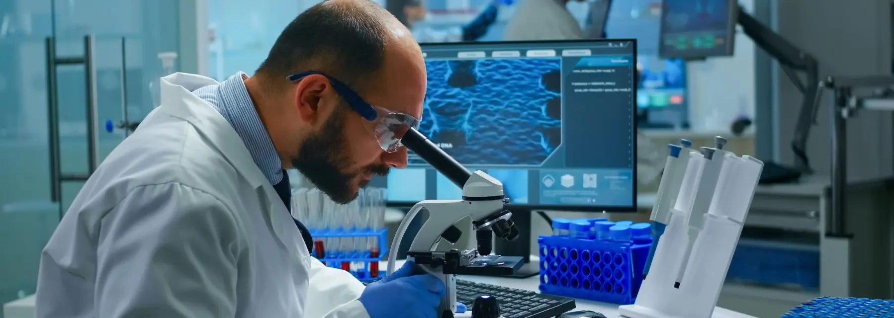 ¿Cuáles son los tipos de bioinformática?